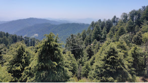 Mahashu Peak, Kufri
