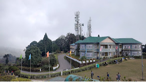 Delo Park