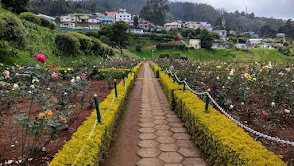 Government Rose Garden
