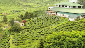 Munnar