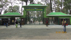 Bengal Safari