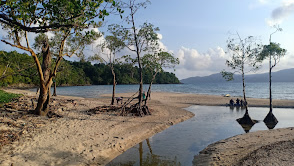 Chidiya Tapu Beach