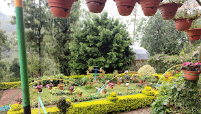 Munnar Rose Garden