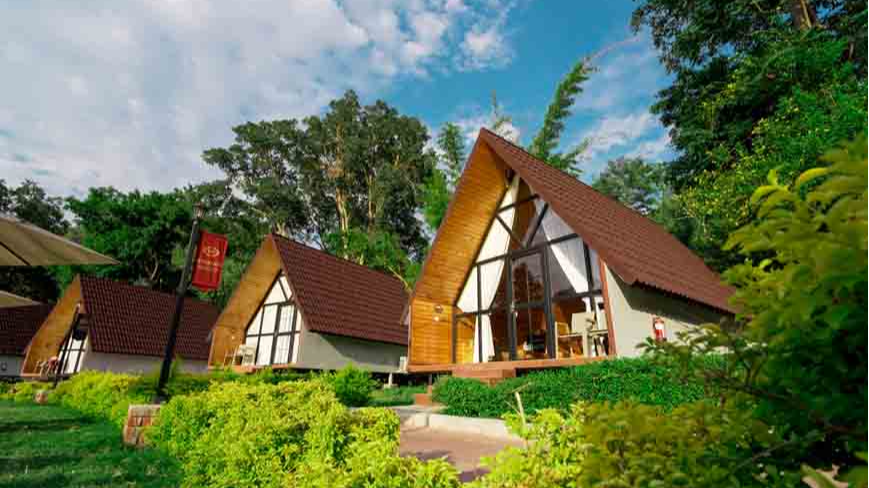 Pine Cottages 