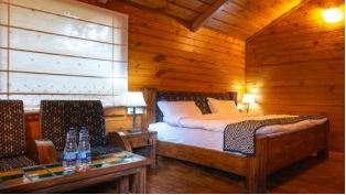 Deluxe Tree House 