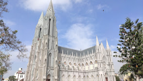 St. Joseph's Cathederal (St. Philomena's shrine)