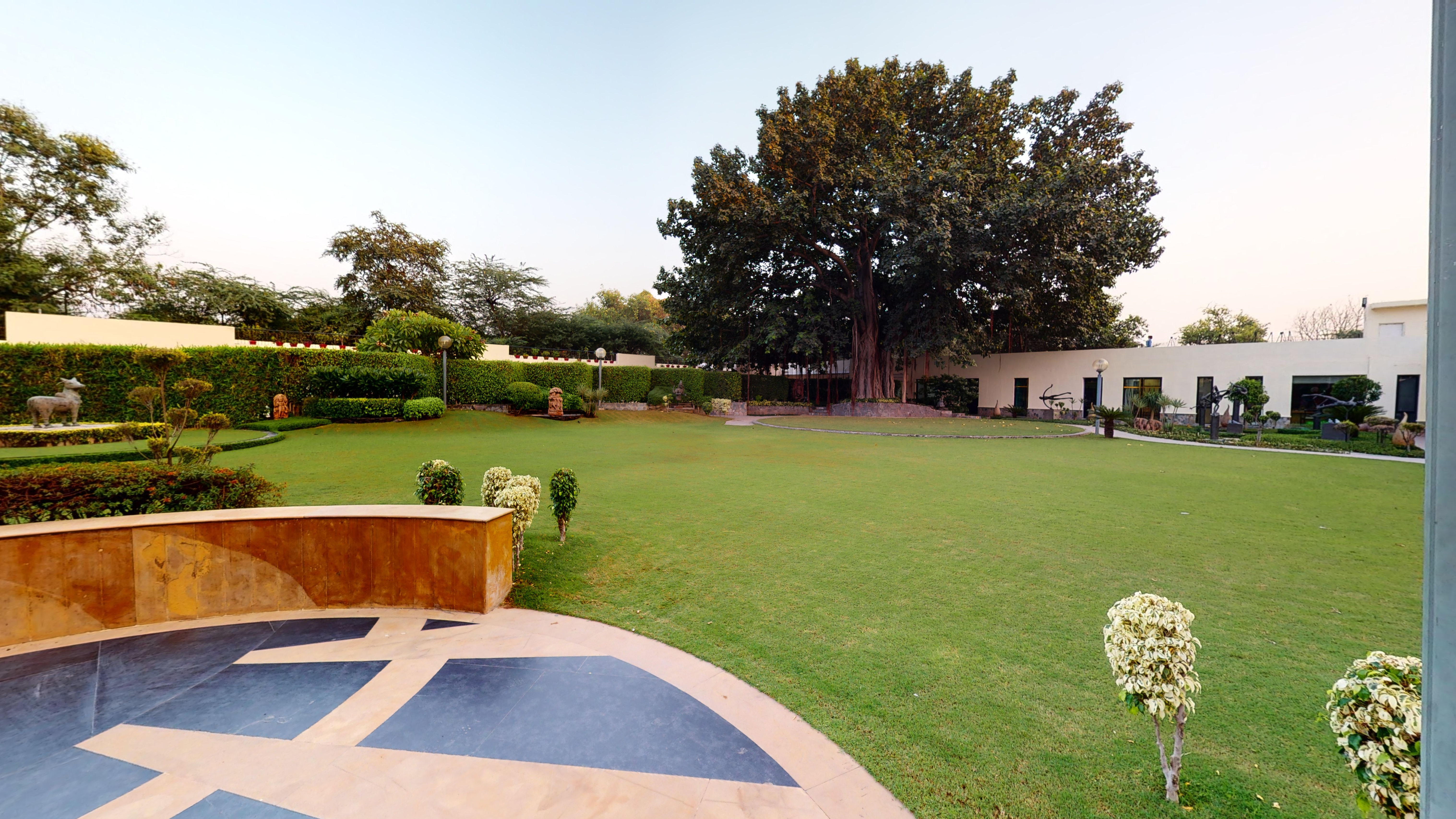 Lawn