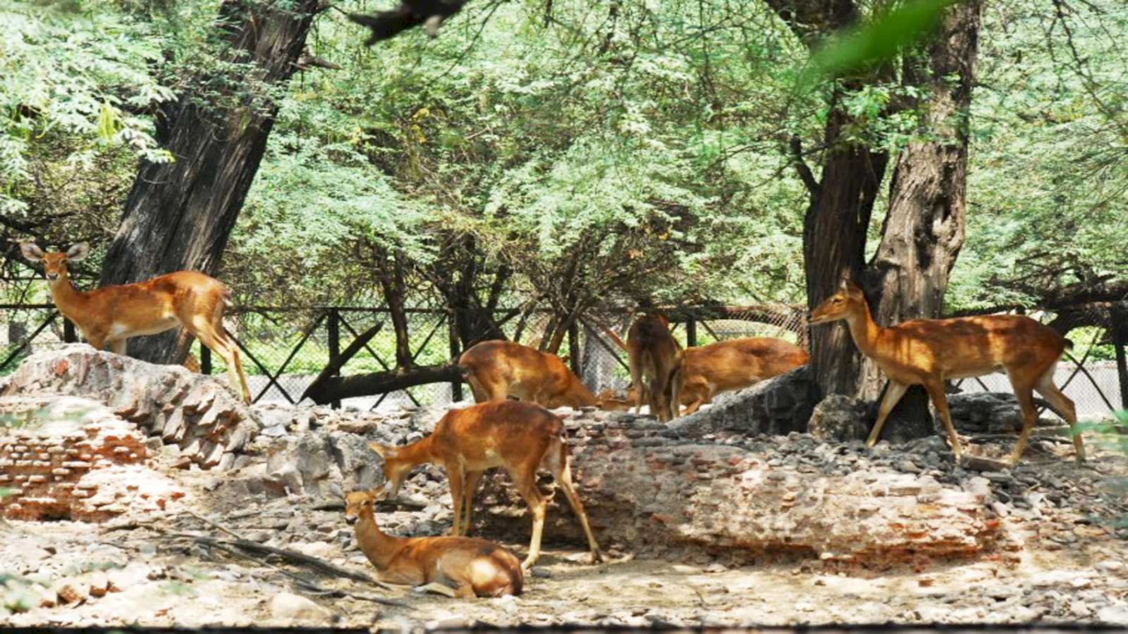 National Zoological Park 