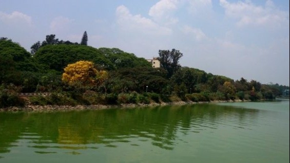 Relish some of the best gifts of Nature