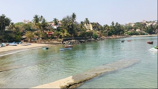 Vainguinim Beach