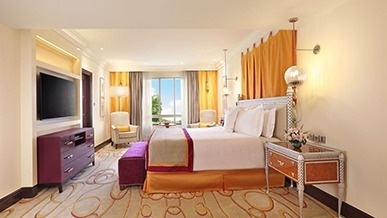 Luxury Suite