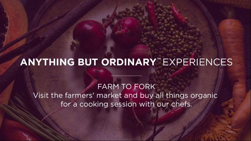 Culinary Trails