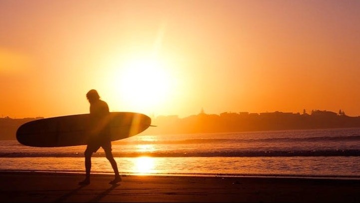 Surf the Waves