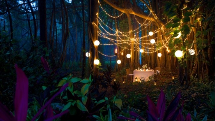 Banyan Tree