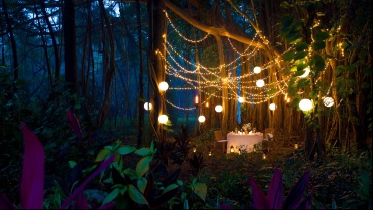Private Dining Under The Banyan Tree