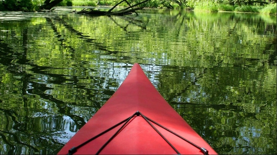 Discover The Backwater