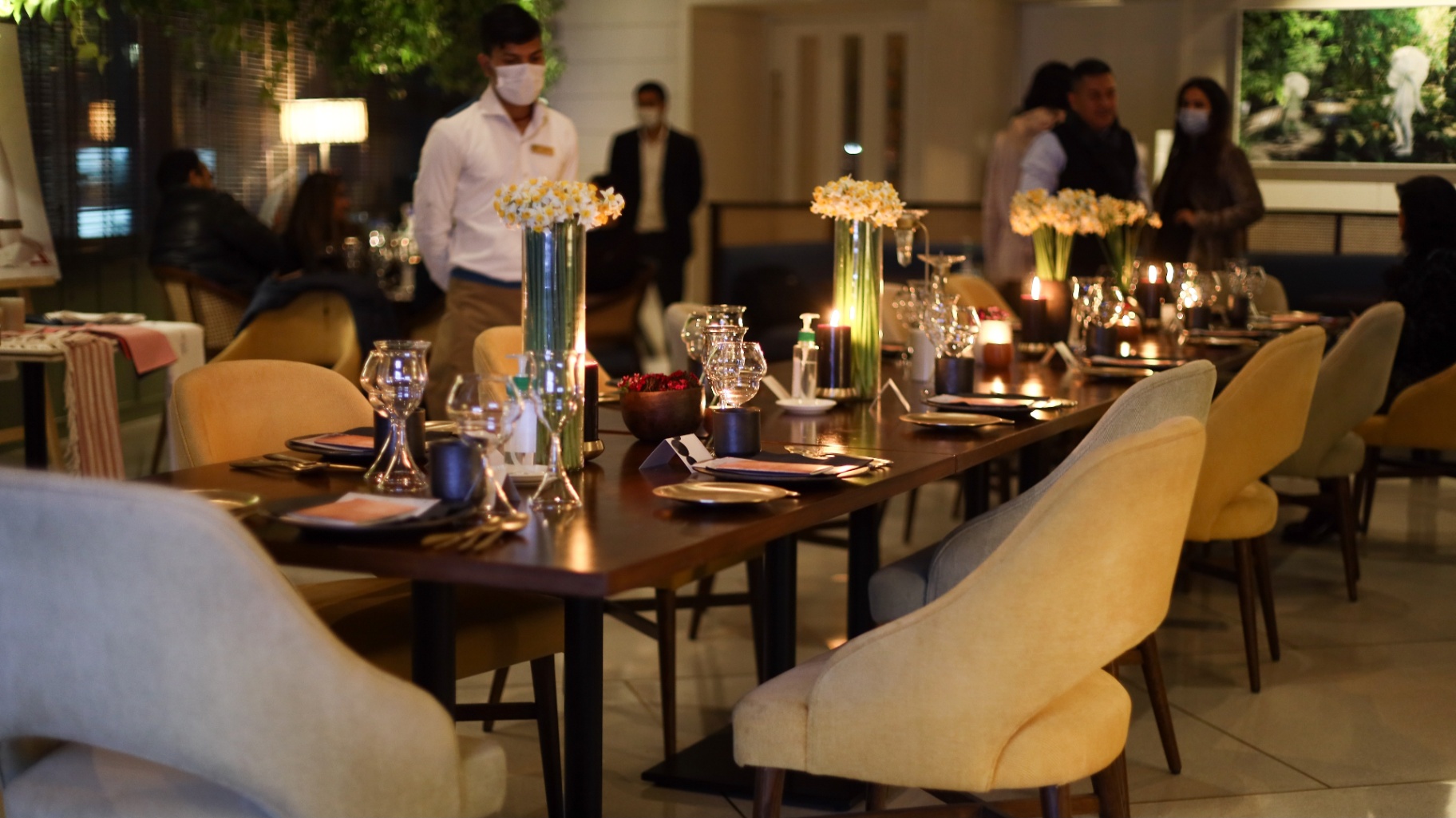 Curated Dinners