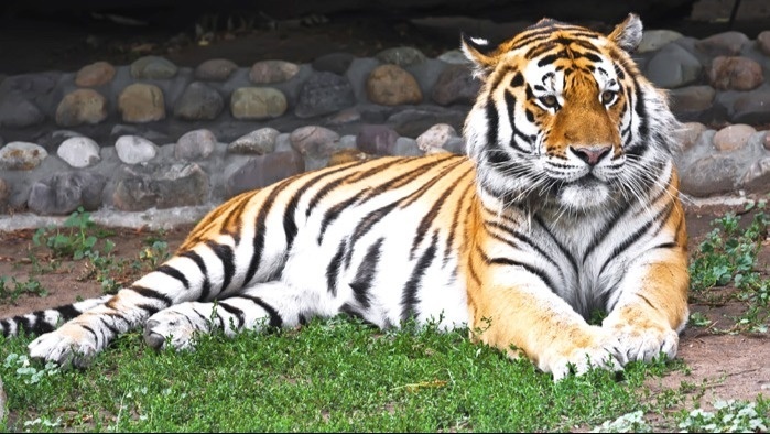 Jaipur Zoo