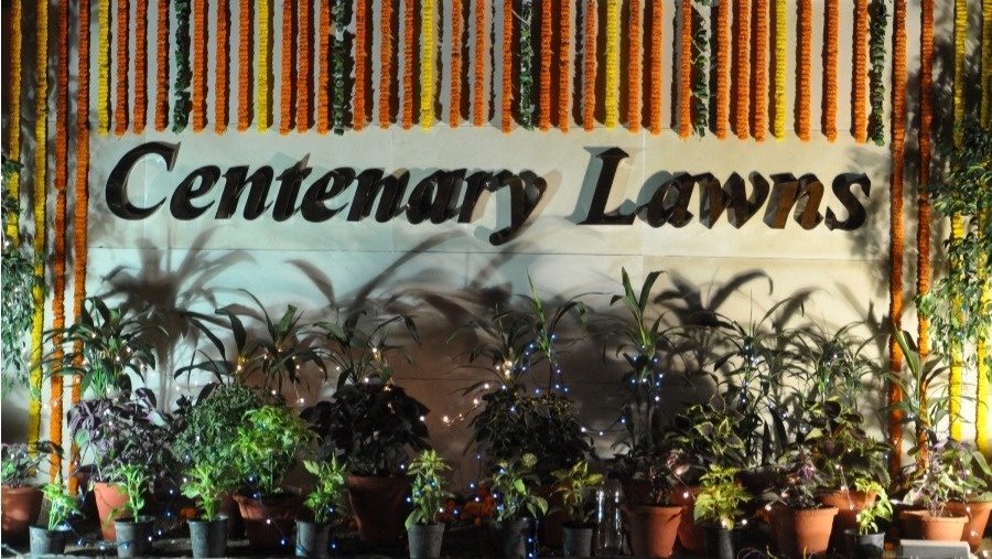 Centenary Lawns