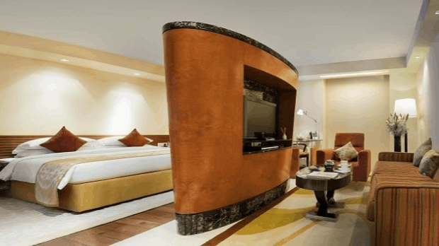 Executive Suite