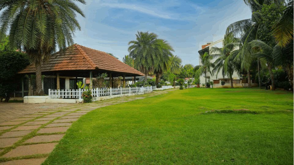 Lawns