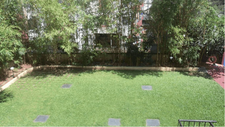Swimming Pool Lawn