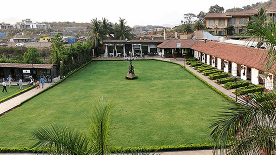 PNF LAWN