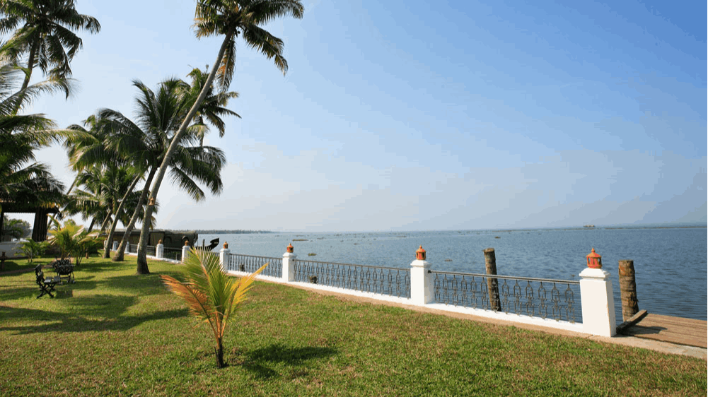 Waterfront Lawns