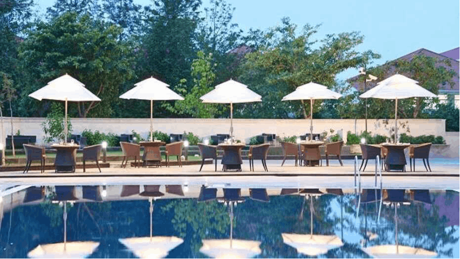 Poolside Garden