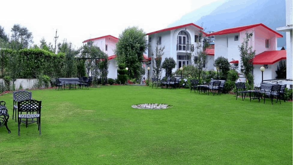 Lawn-1