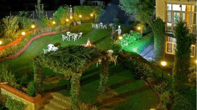 Lawn-2
