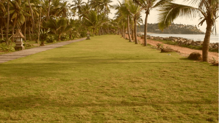 Open Air Seaside Lawns 1