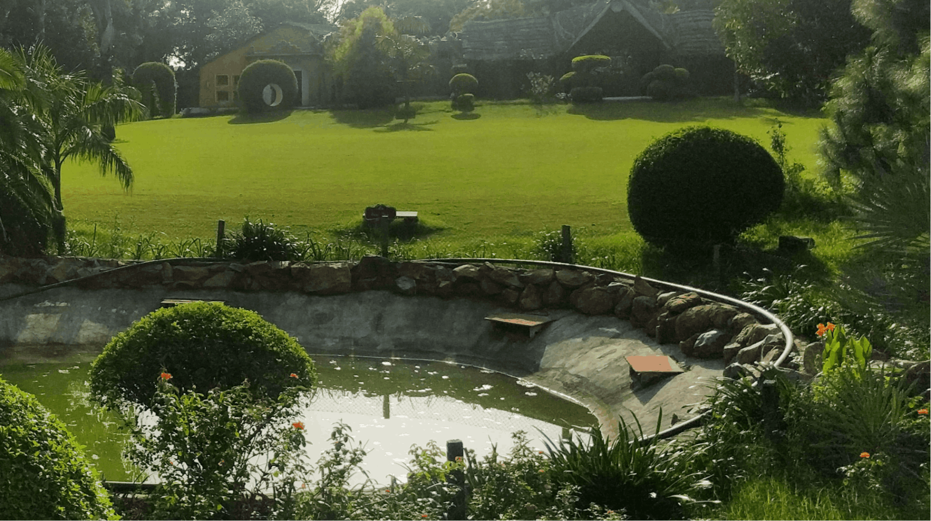 Lawn-1