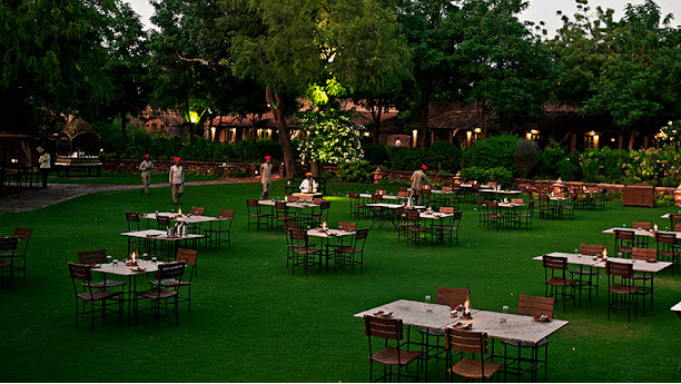 Outdoor Lawn