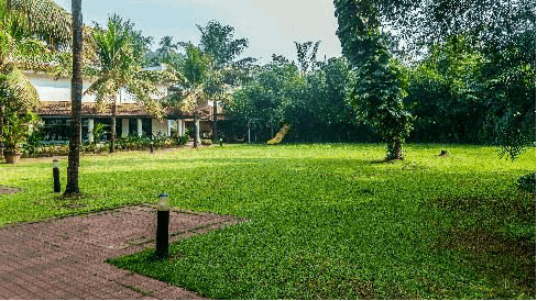 Lawn