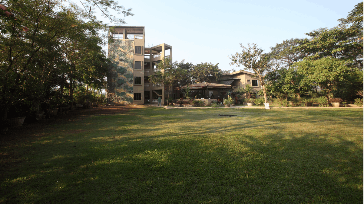 Lawn