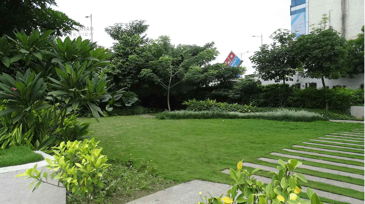 Open Air Lawn