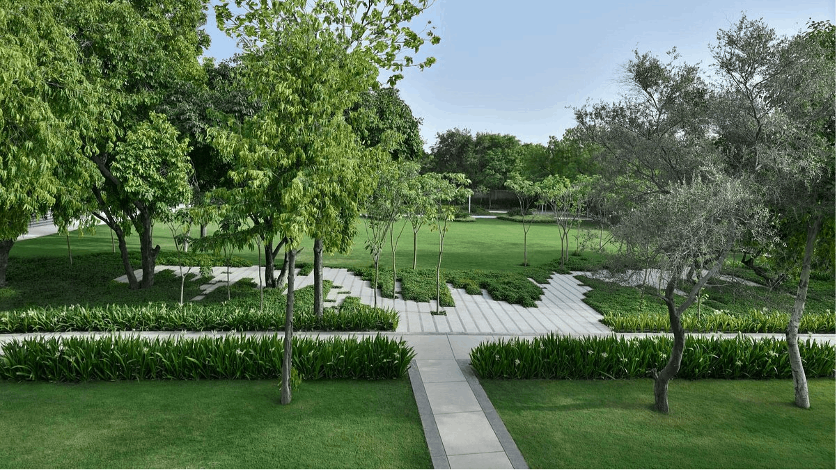 Sapphire Lawns
