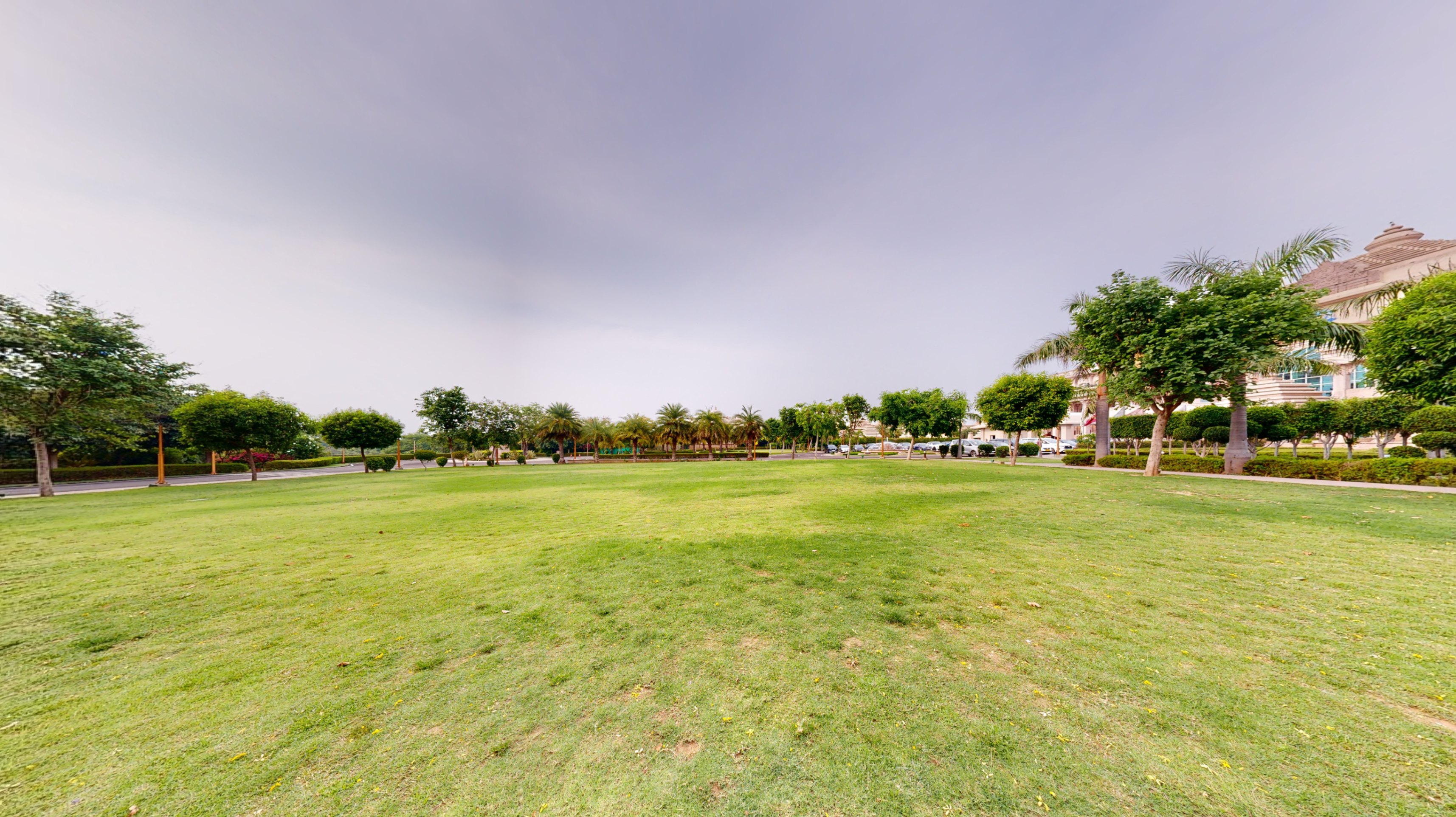 Lawn 1