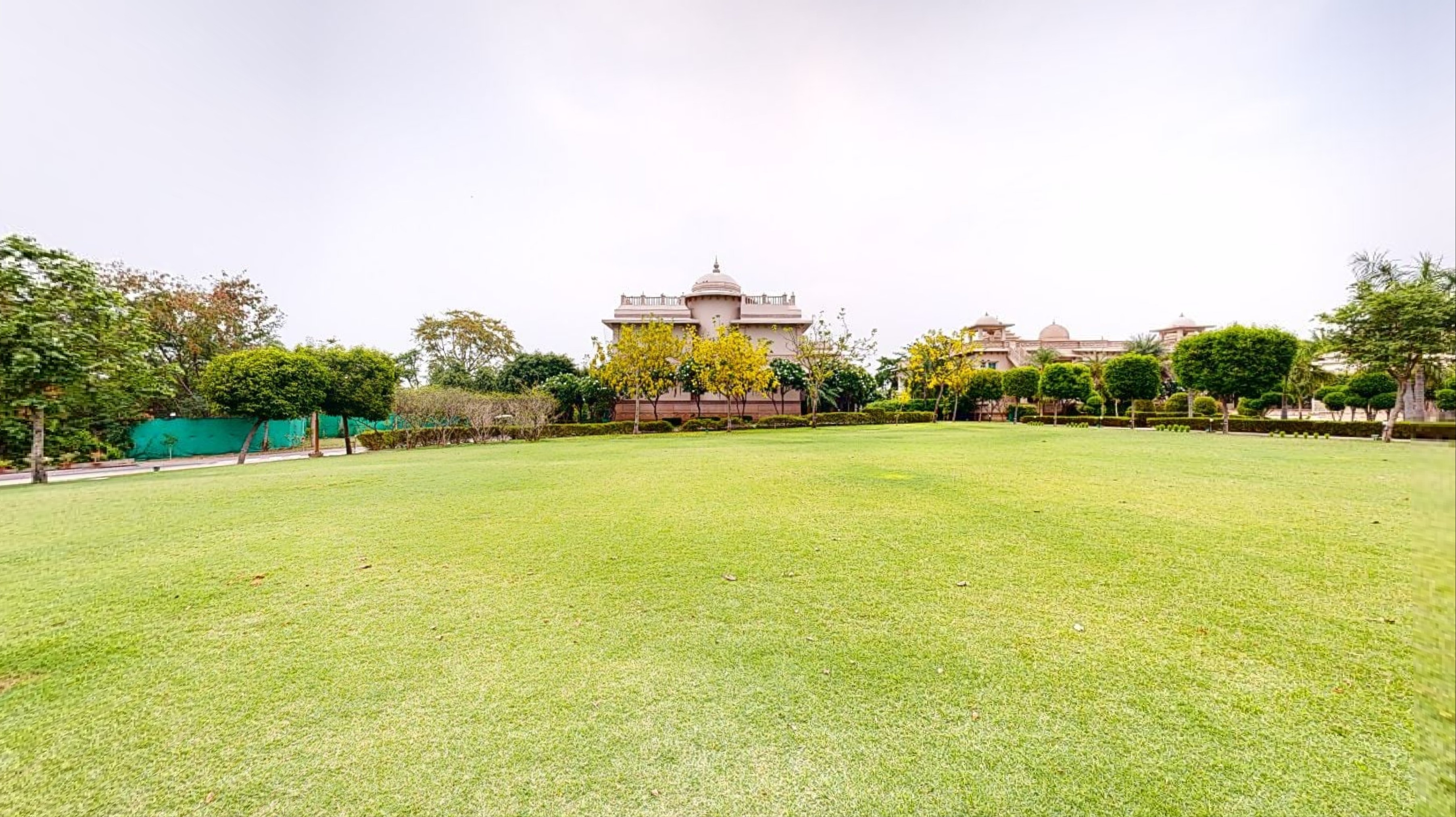 Lawn 2