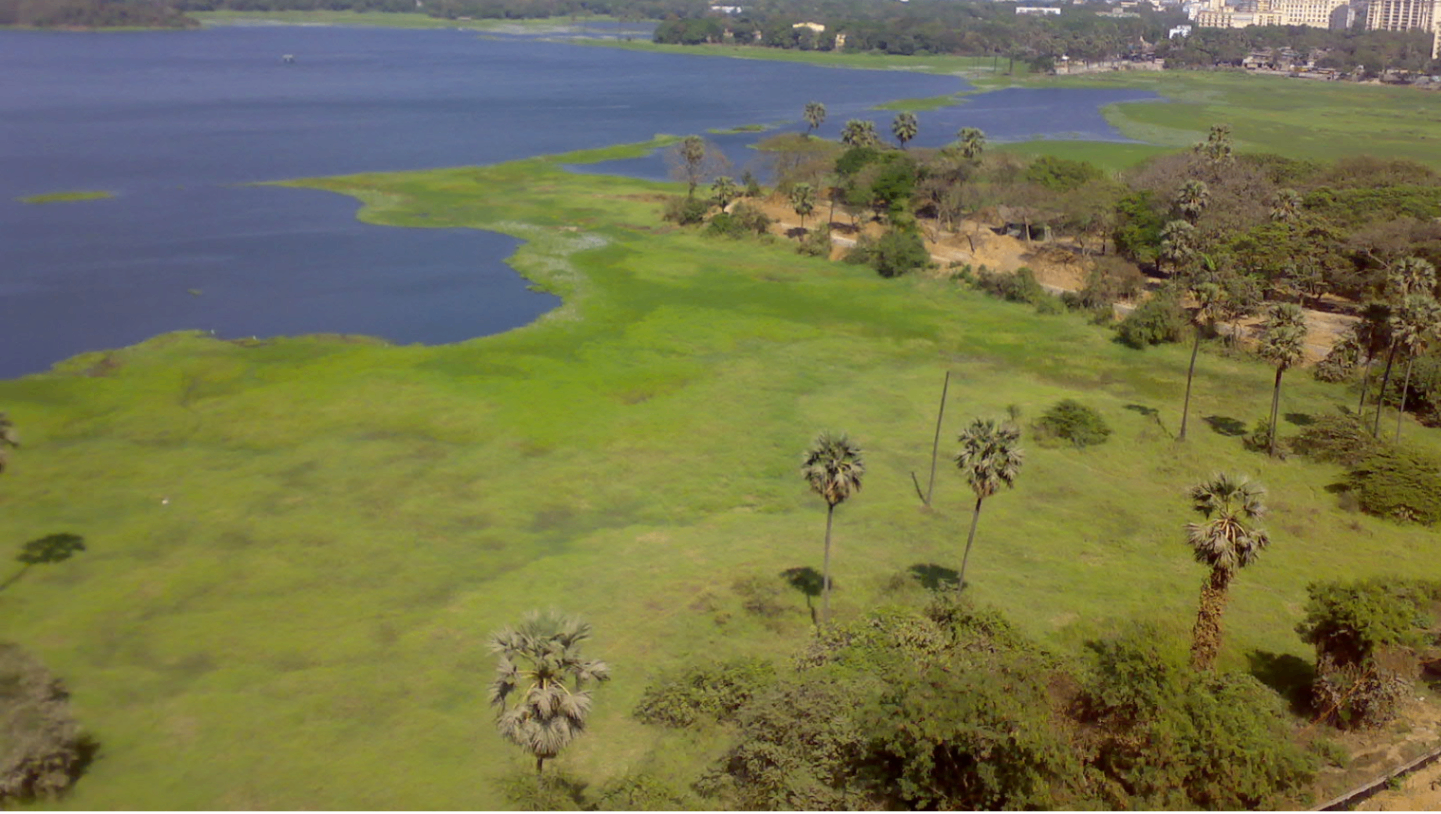Powai Lake