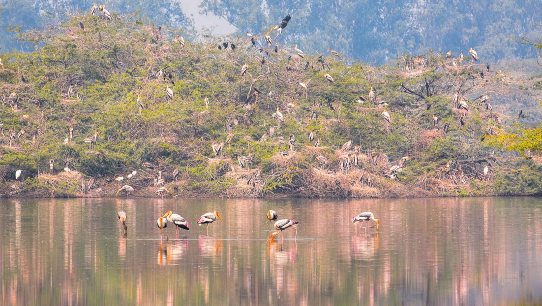 Sultanpur National Park