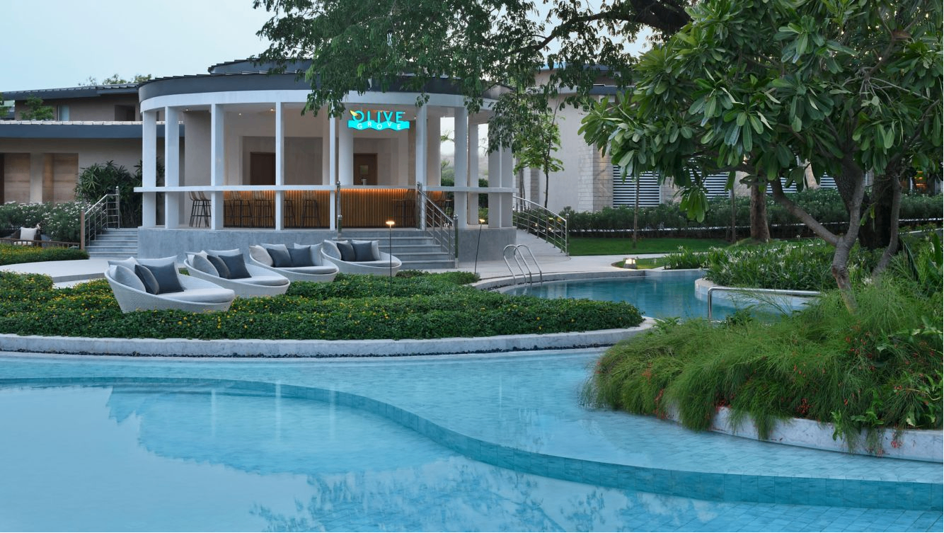 Olive Grove Bar