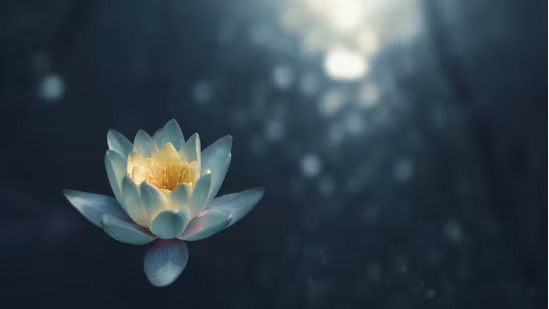 Meditation