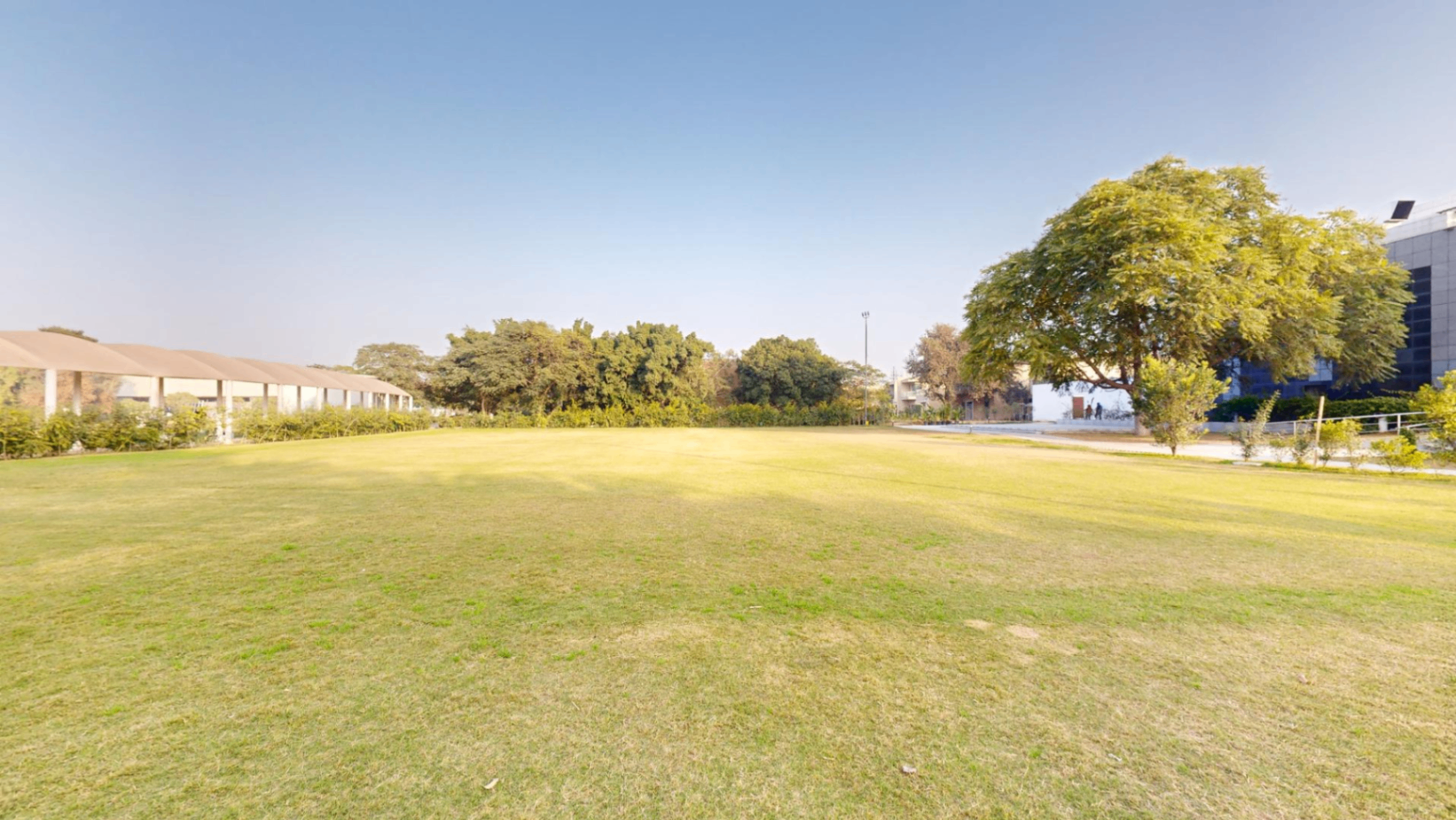 Lower Lawn