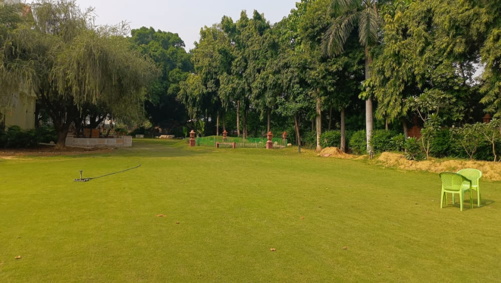 Lawn