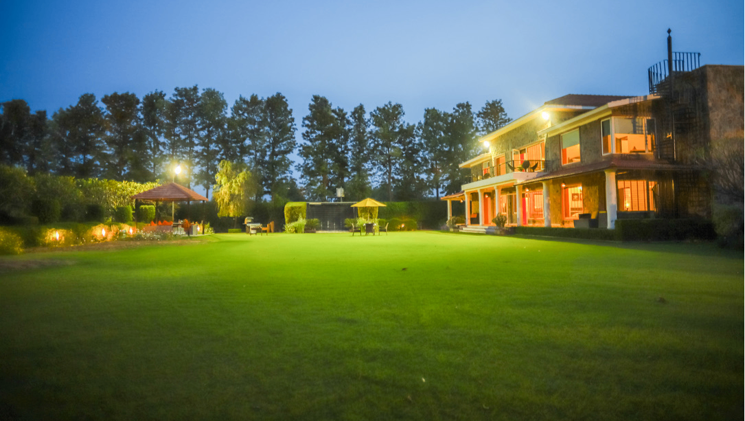 Lawn
