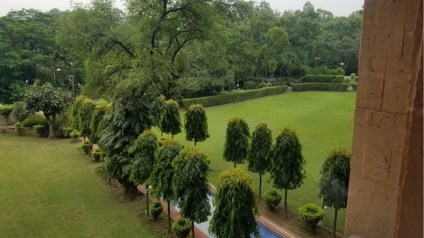 Lawn
