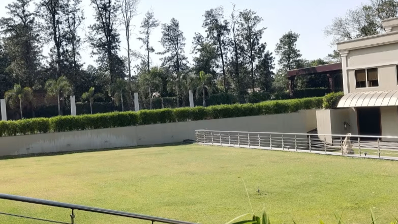 Lawn