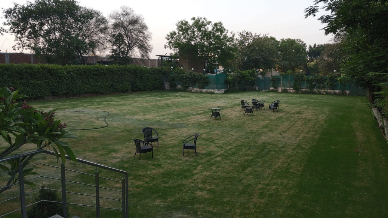 Lawn